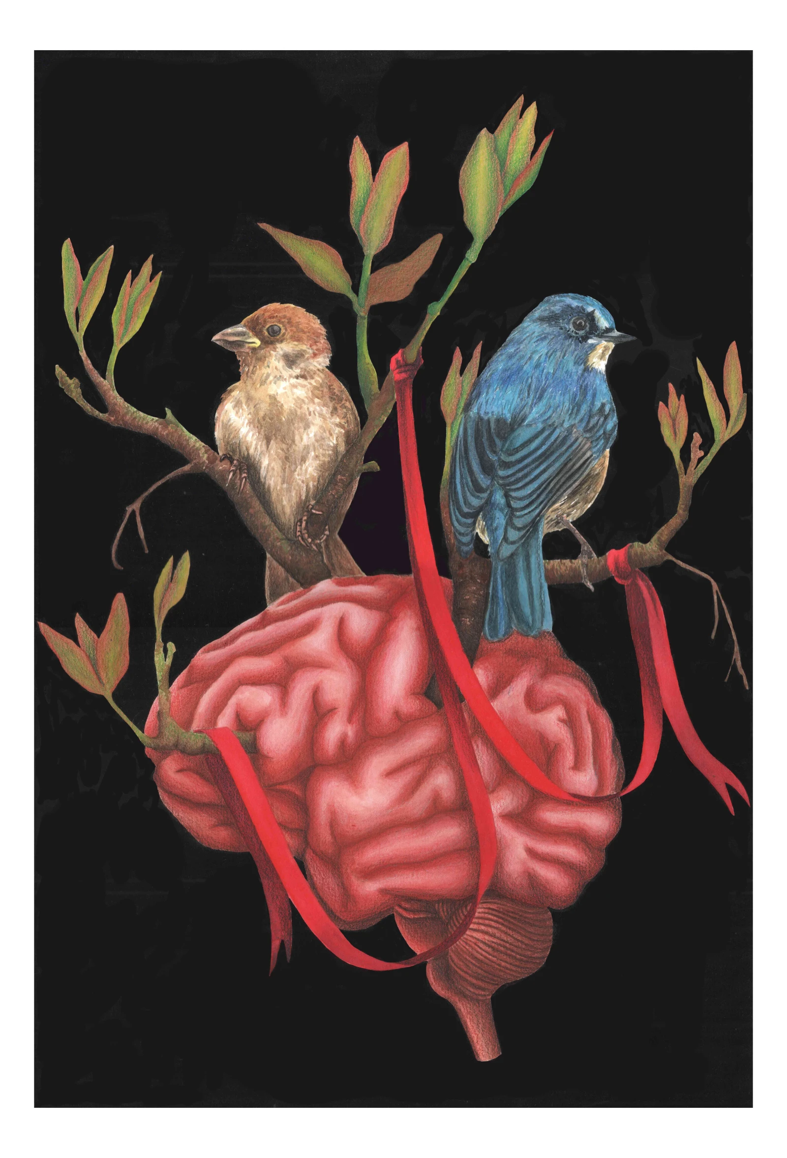 344-organs-brain